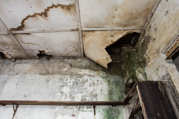Water Damage Service in Miami Beach