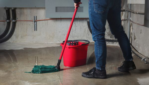 Flooded Basement Cleanup in Miami Beach