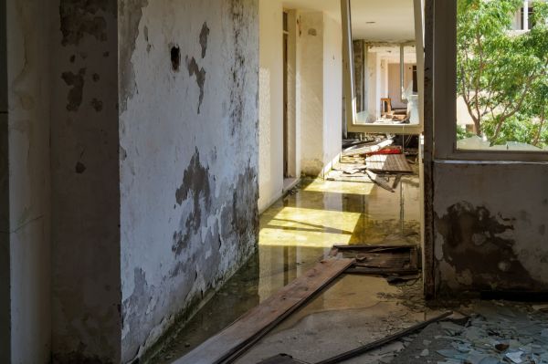 Cost of Water Removal Service in Miami Beach