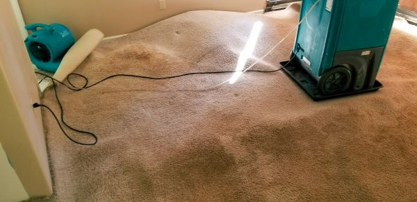 Cost of Carpet Water Extraction in Miami Beach