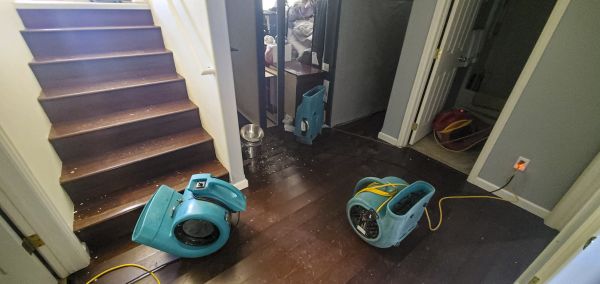 Water Damage Remediation in Miami Beach