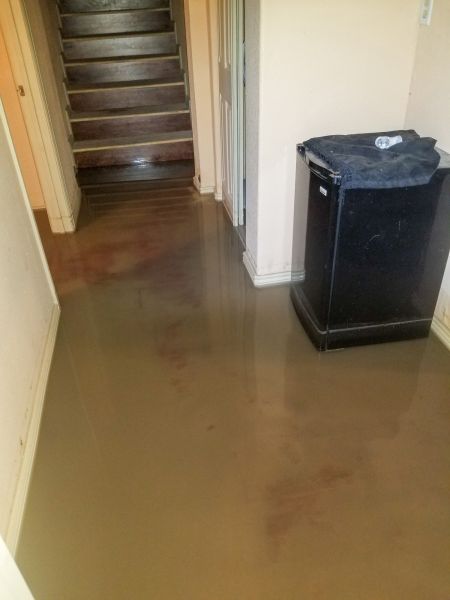 Cost of Emergency Water Removal in Miami Beach
