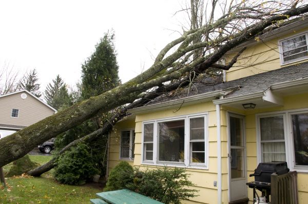 Cost of Hurricane Damage Repair in Miami Beach